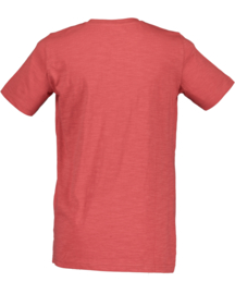 SHIRT ROOD, SPECIAL