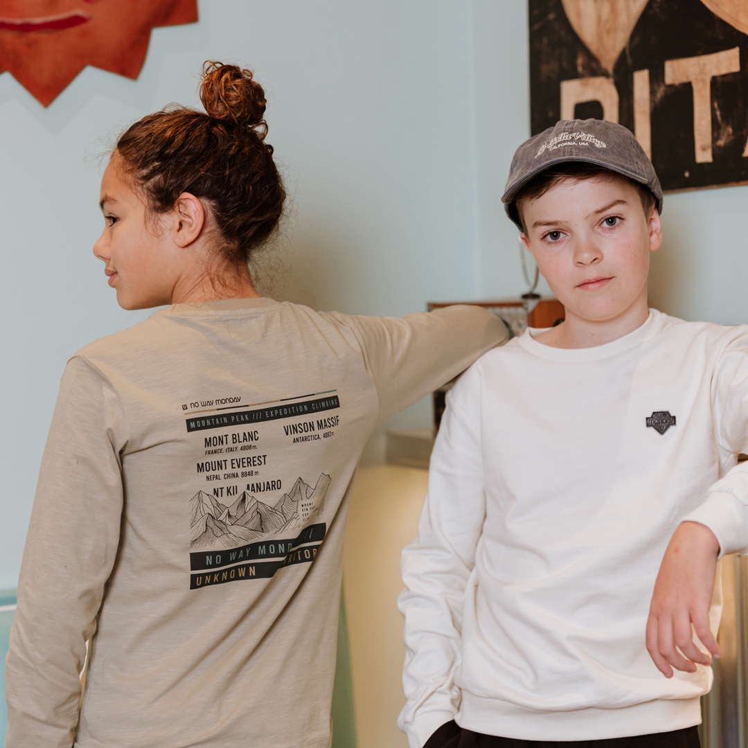 LONGSLEEVE, LICHT GRIJS