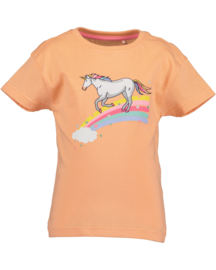 SHIRT MELOEN, UNICORN
