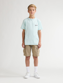 T-SHIRT CLASSIC PRINT, COOL MINT