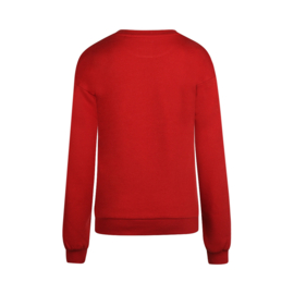 SWEATER, ROOD