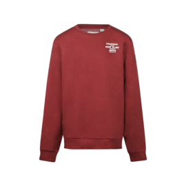 SWEATER, STEENROOD