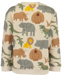 SWEATER ZAND, SAFARI