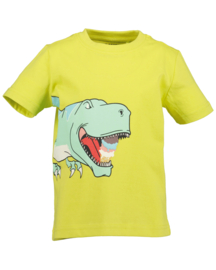 SHIRT GEEL, DINO