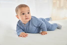 VESTJE BABYBLUE, ESSENTIELS
