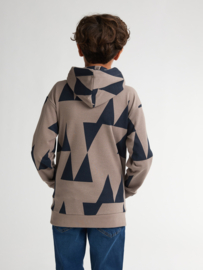 HOODIE GRAFISCHE PRINT, DUSTY BROWN