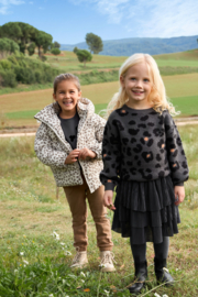 ROK MET STROKEN ANTRACIET, CATS