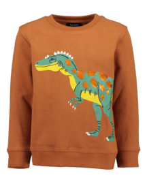 SWEATER MET VEEGPAILETTEN BRUIN, DINO