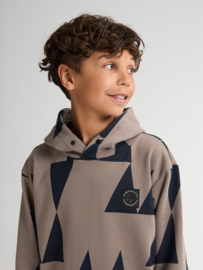 HOODIE GRAFISCHE PRINT, DUSTY BROWN