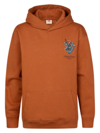HOODIE MET BACKPRINT, TERRA