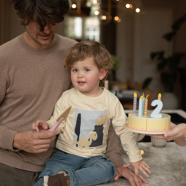 LONGSLEEVE ZAND, DINO