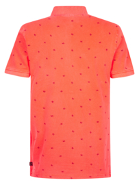 POLO KREEFT, FIERY CORAL
