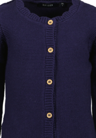 VEST KNITWEAR, BLAUW