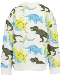 SWEATER IVOOR AOP, DINO