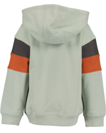 HOODIE IJSGROEN, BEAR