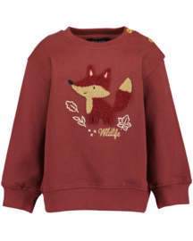 SWEATER WIJNROOD, WILDLIFE