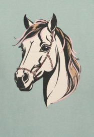 SWEATER HORSES, AQUABLAUW