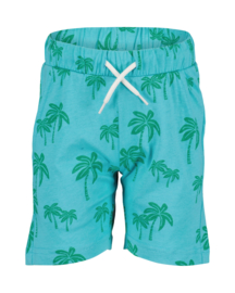 KORTE BROEK PALM ZEEGROEN, ESSENTIELS