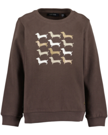 SWEATER BRUIN, DOGS