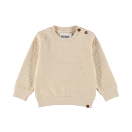 SWEATER ZAND