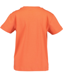 SHIRT ORANJE ROOD, VEHICLES