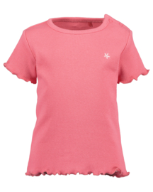 SHIRT RIB AZALEA, BASICS