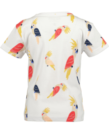 SHIRT MET PAPAGAAIEN WIT, BEACH GIRLS