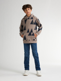 HOODIE GRAFISCHE PRINT, DUSTY BROWN