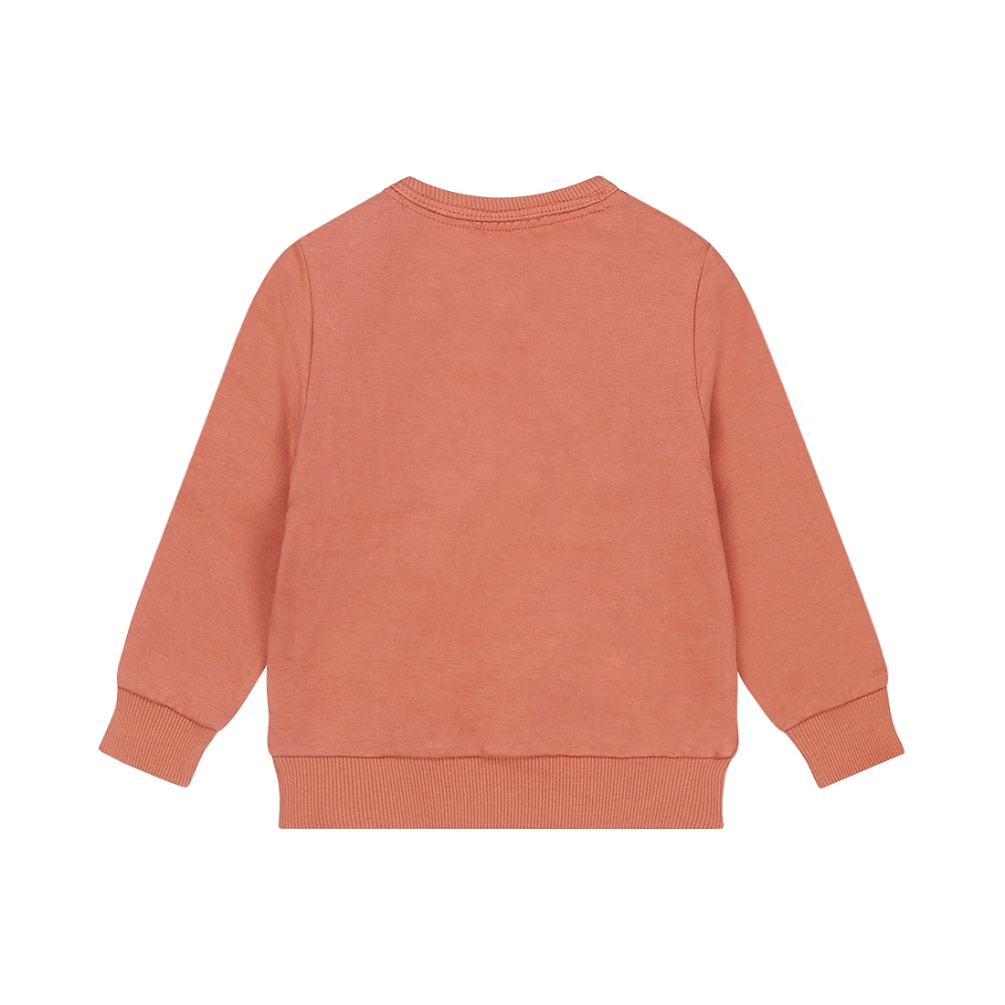 SWEATER WILDLAND, ROESTBRUIN