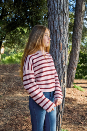 GESTREEPTE TRUI KNITWEAR ROZE, SPECIAL
