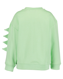 SWEATER LICHT GROEN, DINO