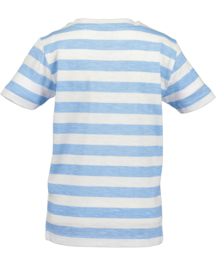 SHIRT LICHT BLAUW GESTREEPT, VEHICLES