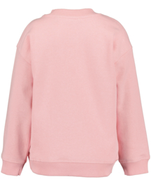 SWEATER MET VEEGPAILETTEN ROZE, BALLERINA