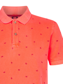 POLO KREEFT, FIERY CORAL