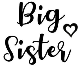 Strijkapplicatie | Big sister