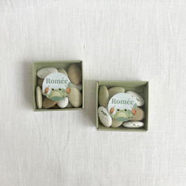 DIY doopsuiker pakket Romée met Grappige Kikker (50st)