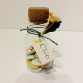Cléo - Frisse Doopsuiker set met Ananasprint (30st)
