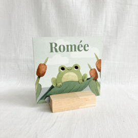 Romée - Geboortekaart met schattige kikker