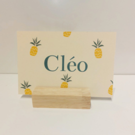 Cleo - Vrolijk geboortekaartje met ananasjes