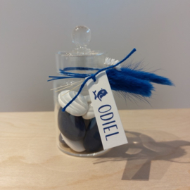 Odiel - Stijlvolle Doopsuiker set met Schattig Vogeltje (25st)