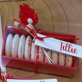 Tillie - Doopsuiker set met Felrood Lieveheersbeestje (20st)