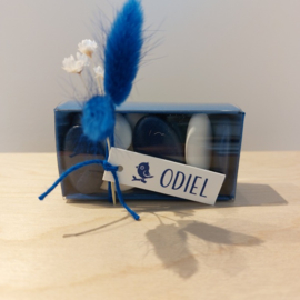 Odiel - Stijlvolle Doopsuiker set met Schattig Vogeltje (25st)