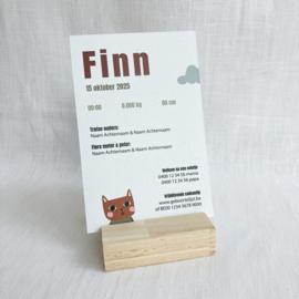 Finn - Speels geboortekaartje met vliegtuigje