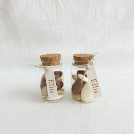 Doopsuikerset Ellis - Warme Natuurtinten met een Speelse Teddy (60st)
