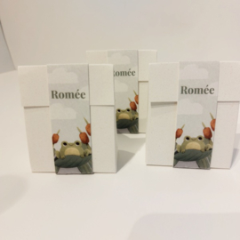Romée - Superleuke Doopsuikerset met Grappige Kikker (25st)
