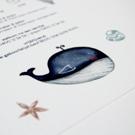 Joop - Speelse geboortekaart met walvis en zeediertjes