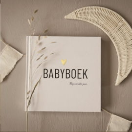 Babyboek - Mijn eerste jaar