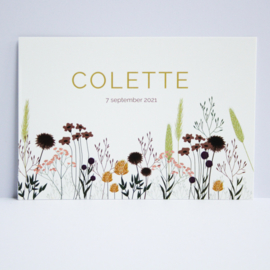 Colette