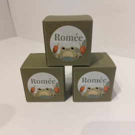 Romée - Superleuke Doopsuikerset met Grappige Kikker (25st)