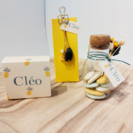 Cléo - Frisse Doopsuiker set met Ananasprint (30st)